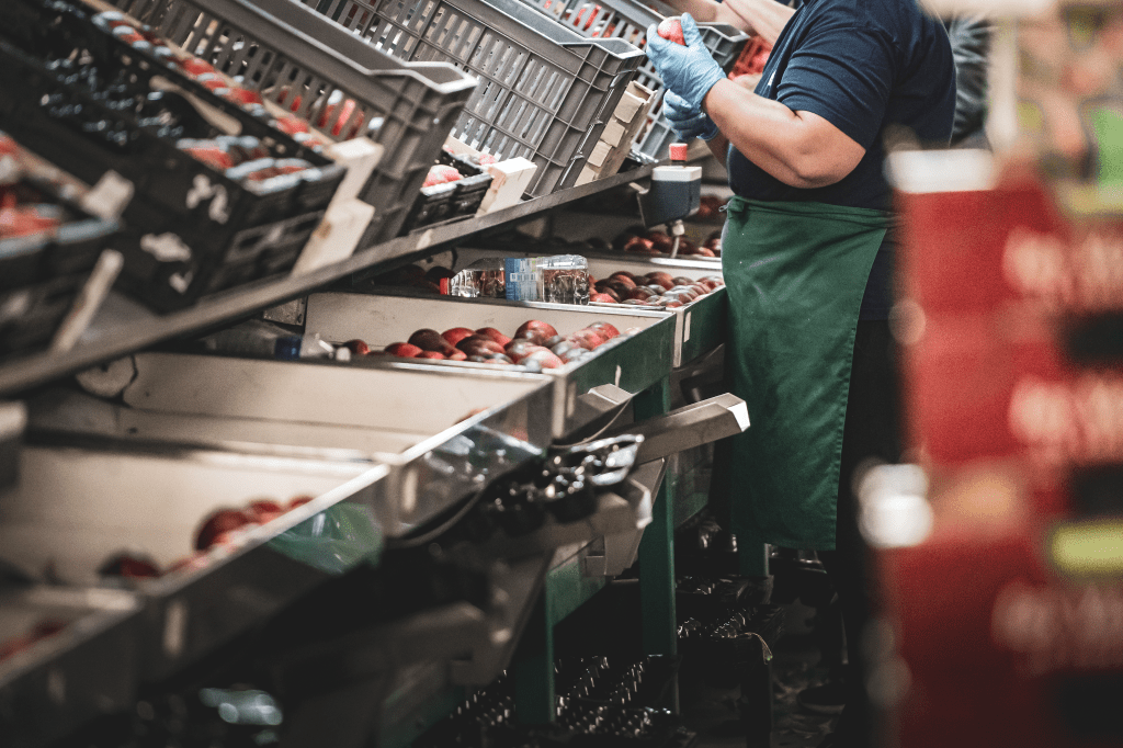 Rhoda-Coop, coopérative fruitière en plein cœur de la vallée du Rhône