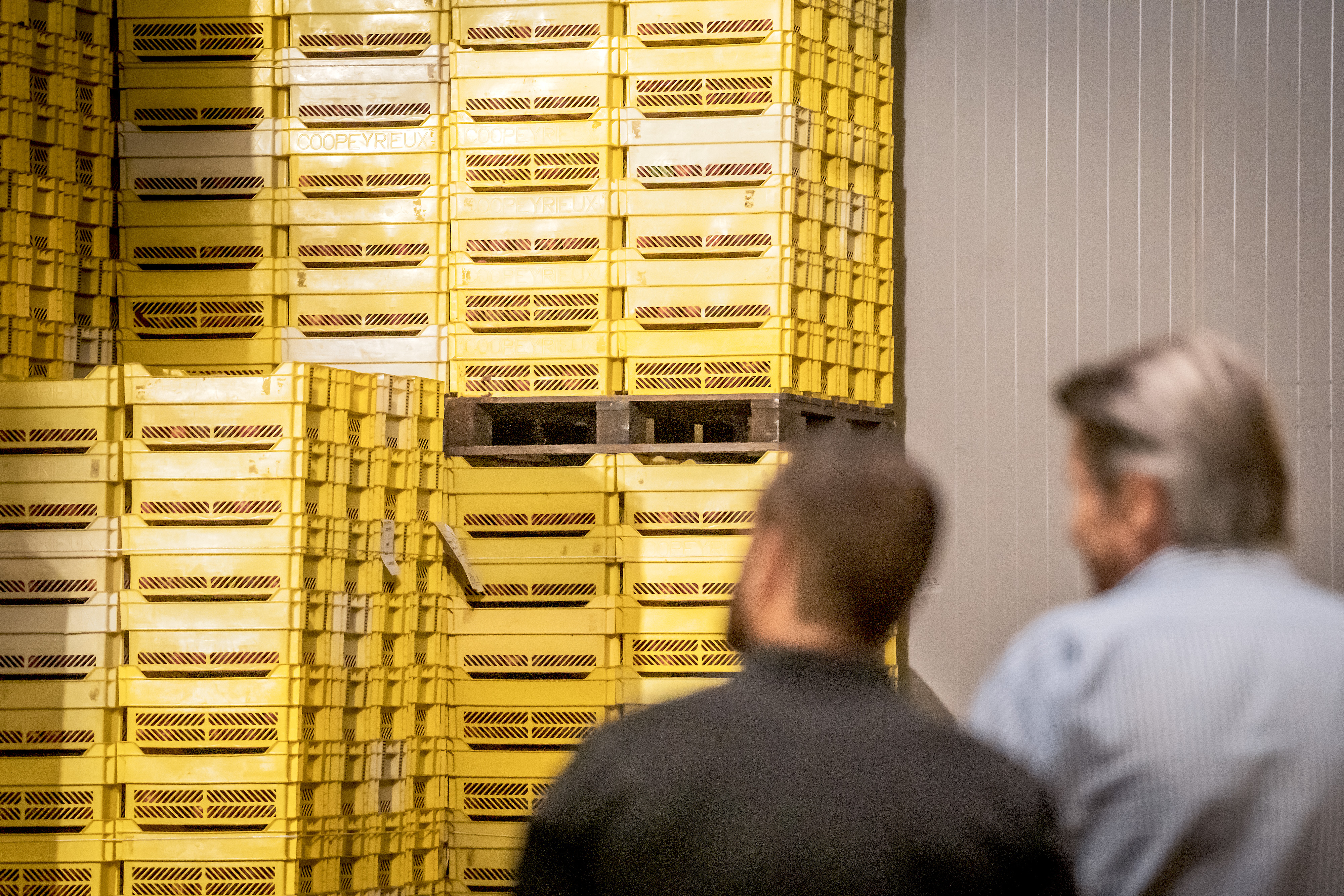 Rhoda-Coop, coopérative fruitière en plein cœur de la vallée du Rhône