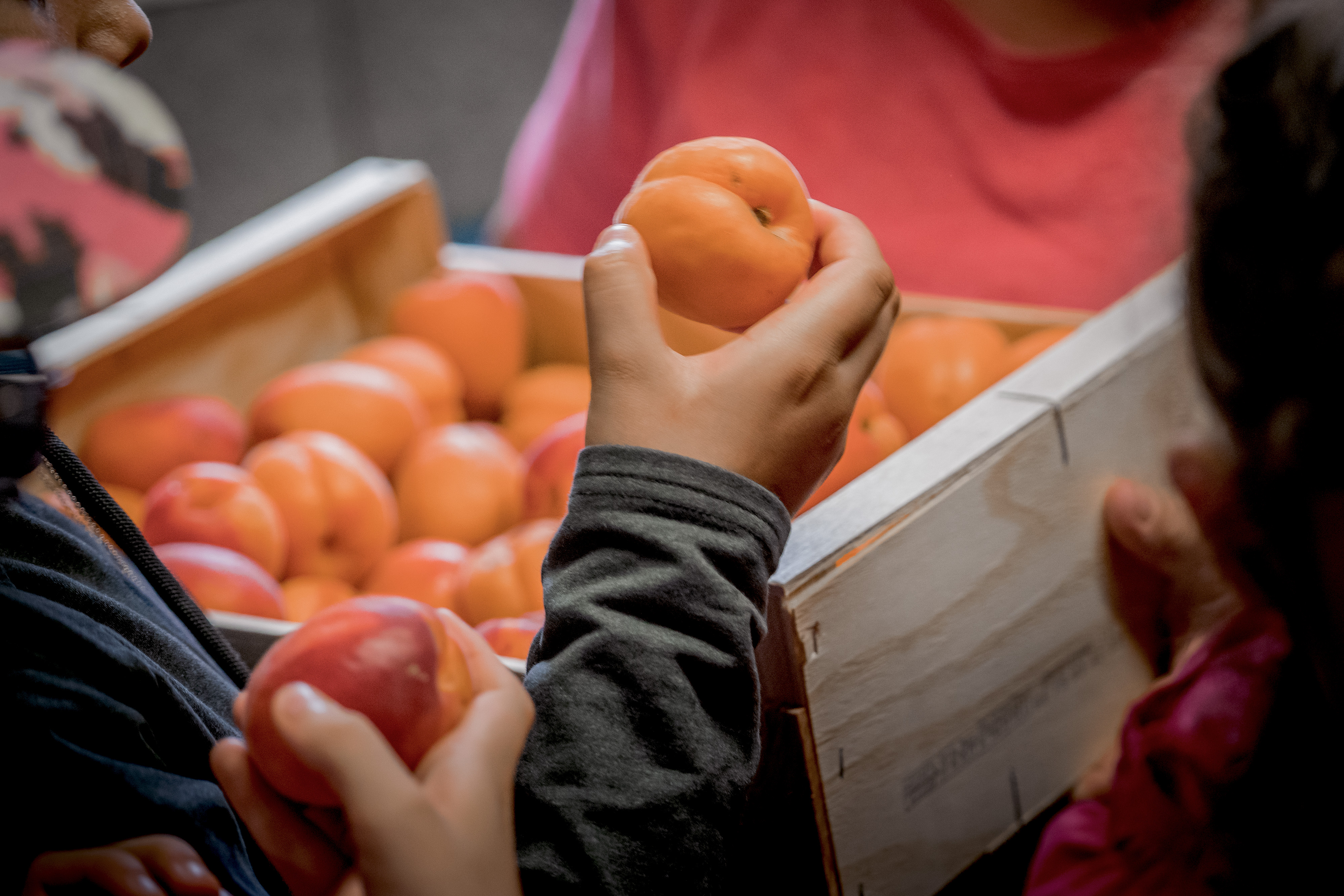 Opération « Fruits et légumes à l’école »