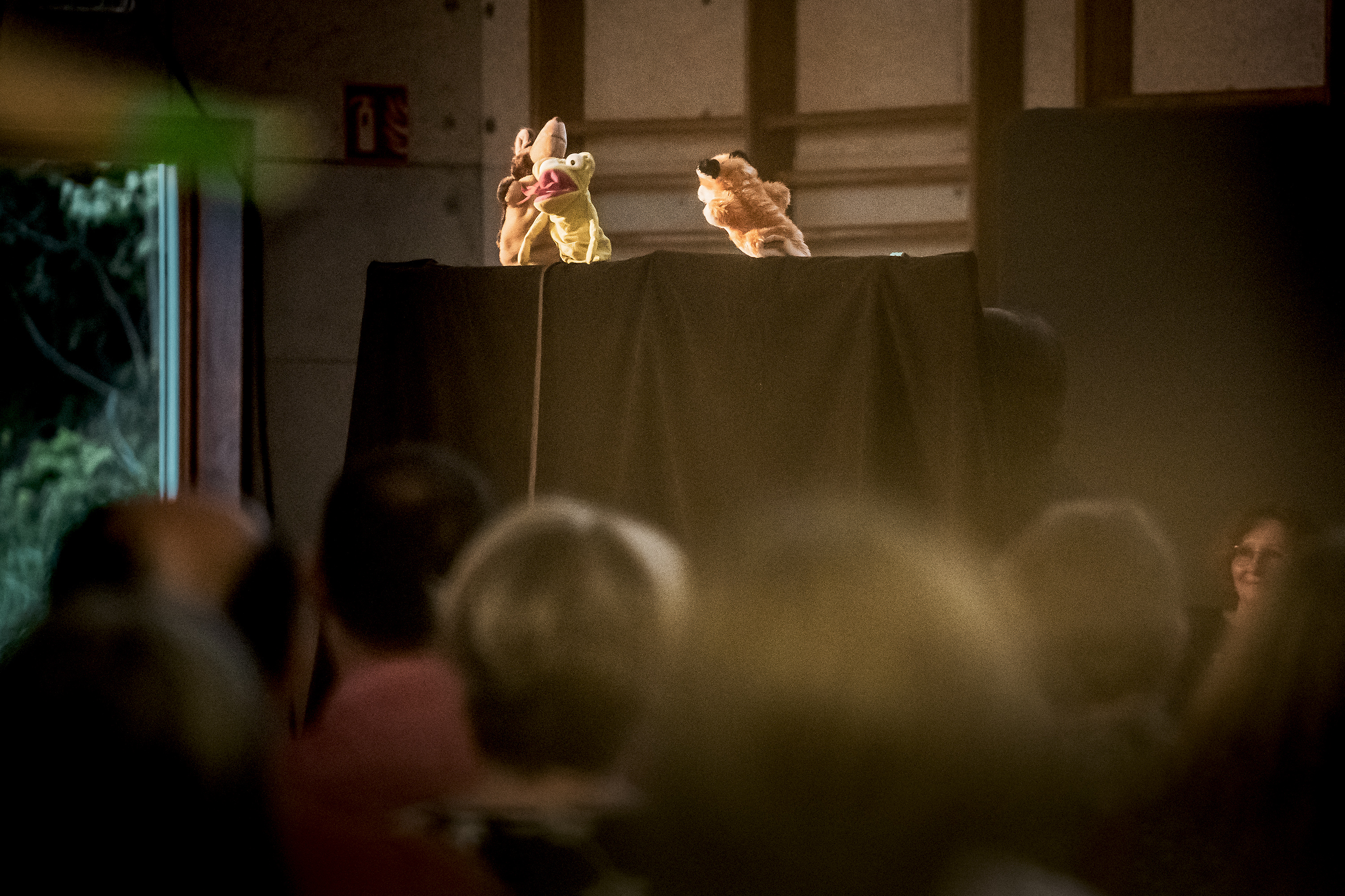 Générations en fête : un événement qui rassemble petits et grands