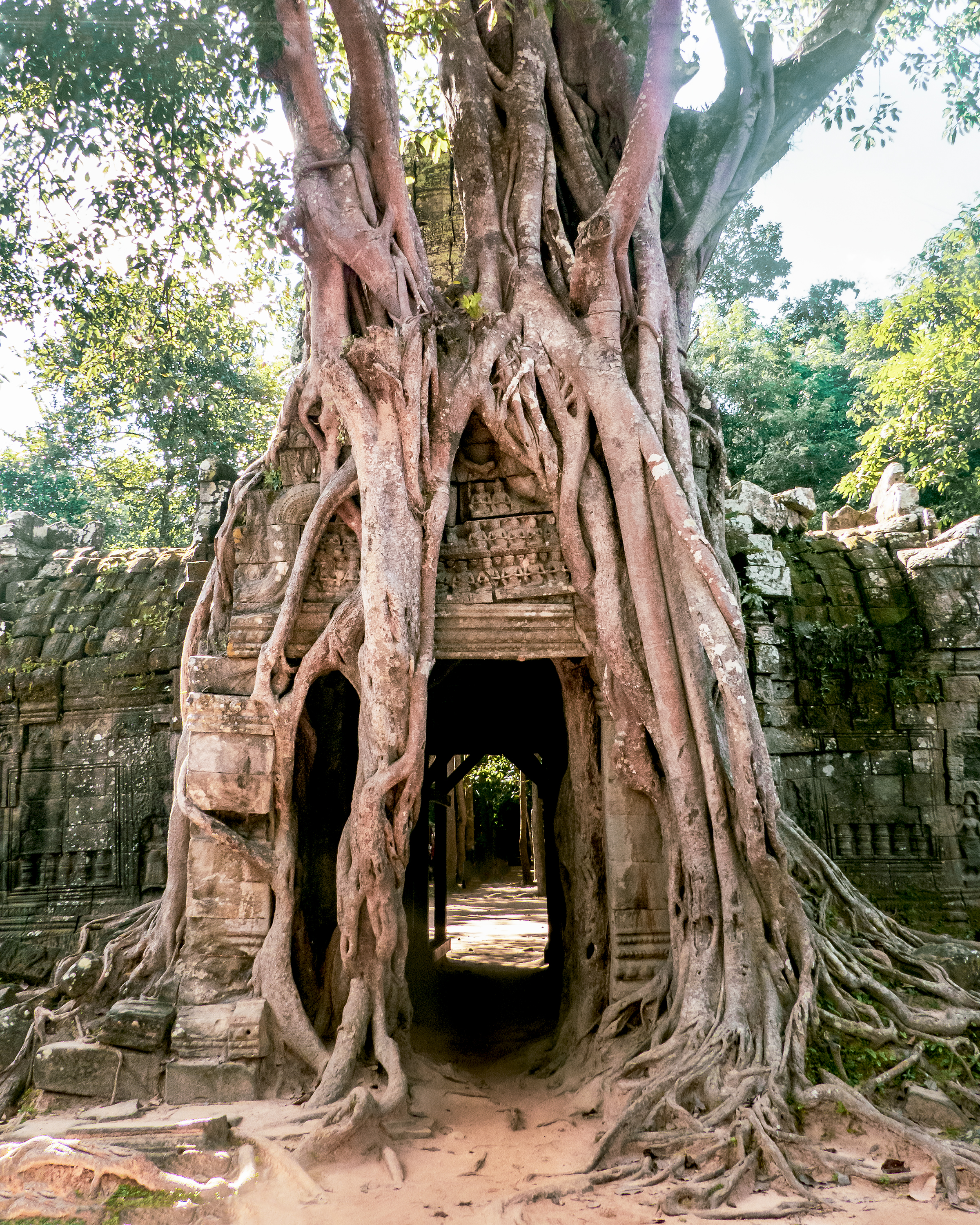 Immersion sur le site archéologique d'Angkor, au Cambodge