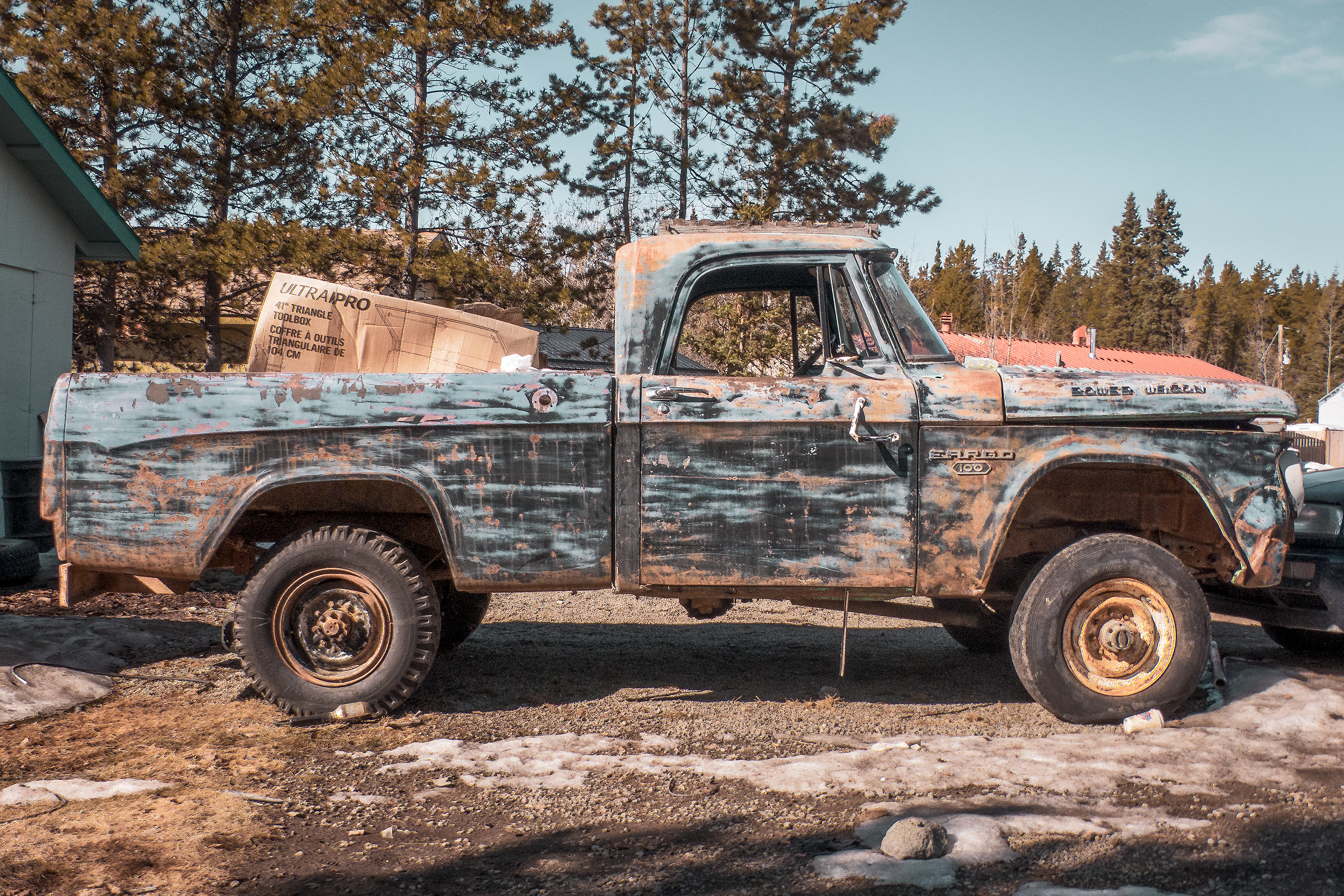 Immersion sur la terre du soleil de minuit : le Yukon, Canada