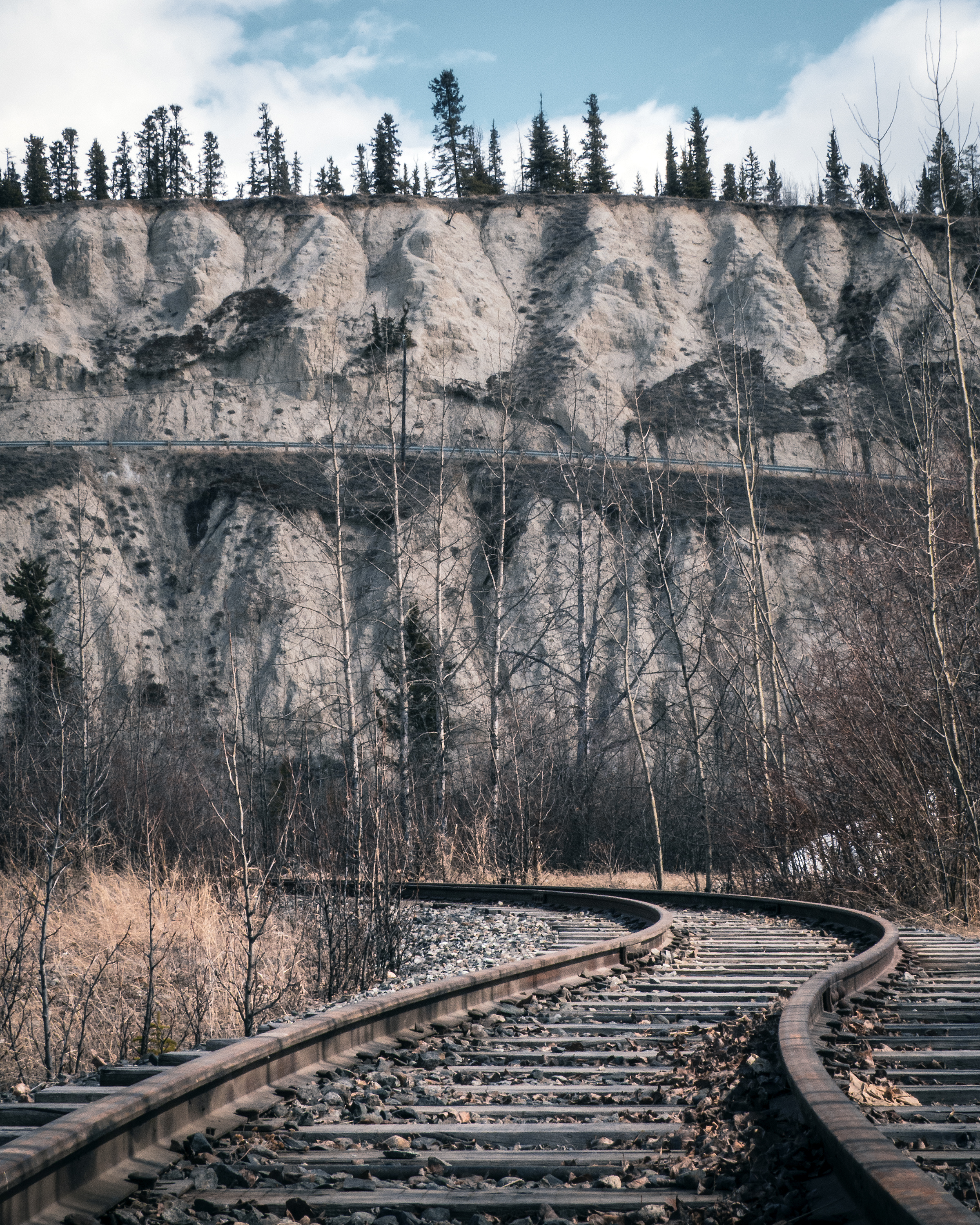 Immersion sur la terre du soleil de minuit : le Yukon, Canada
