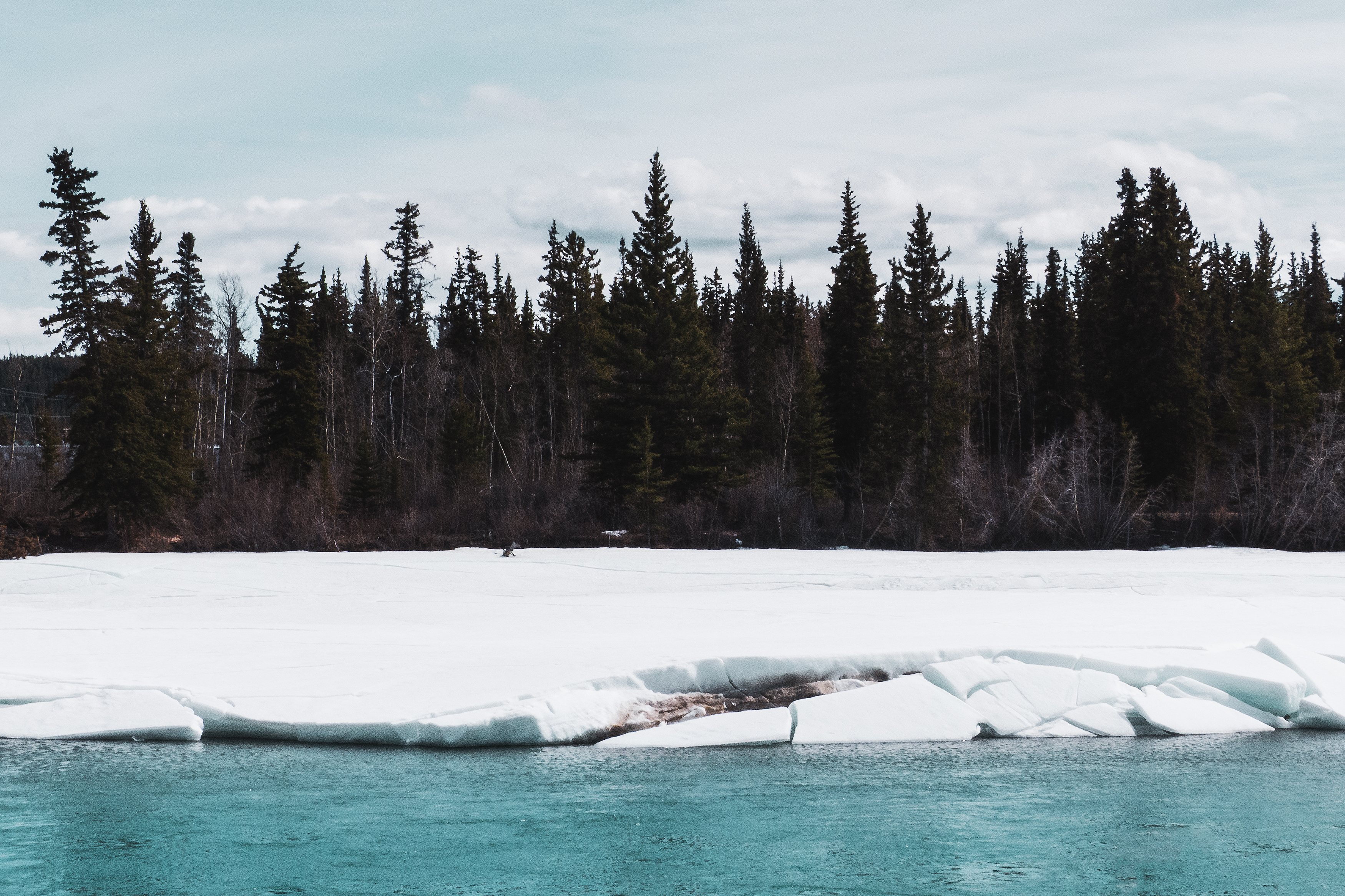 Immersion sur la terre du soleil de minuit : le Yukon, Canada