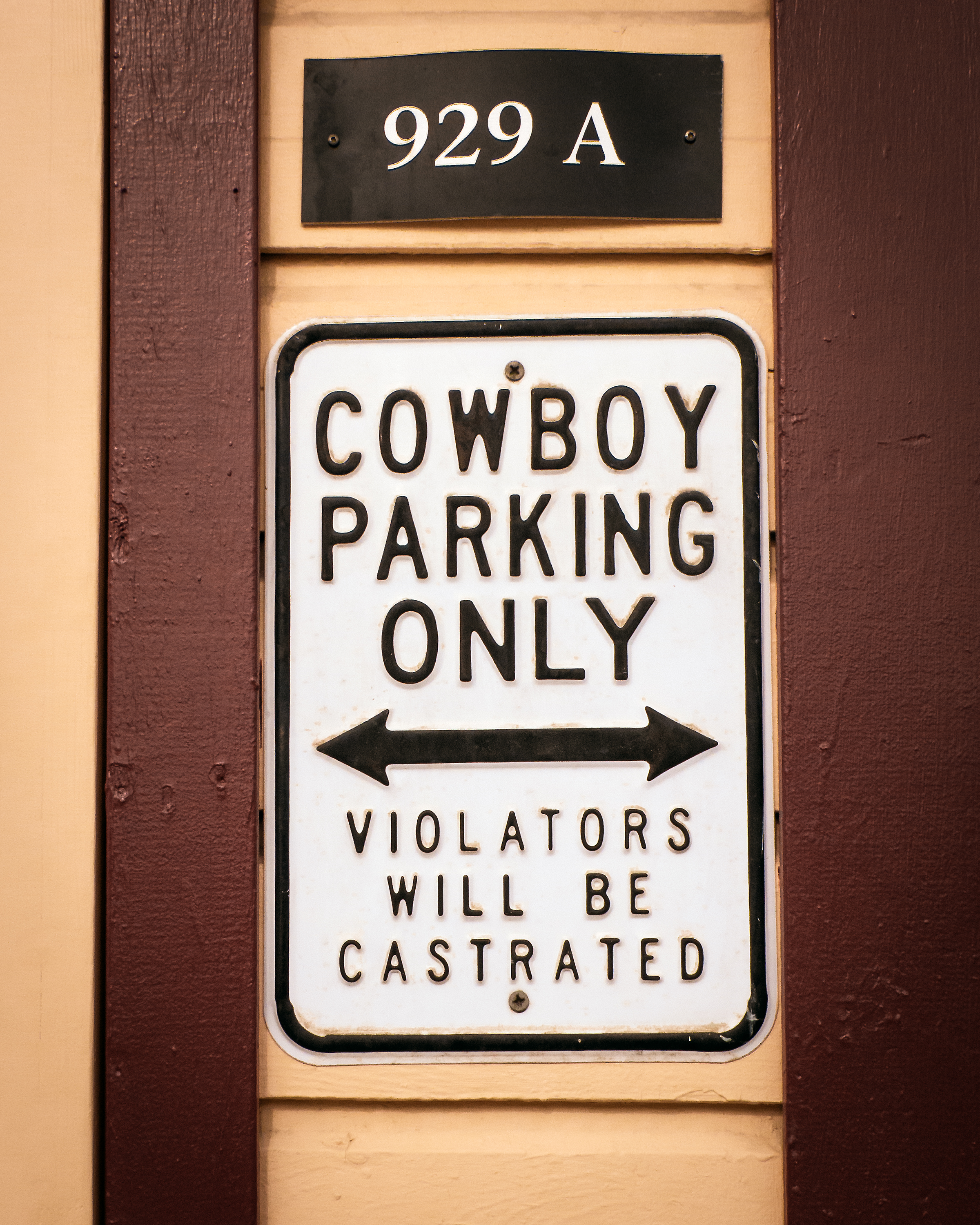 Immersion sur la terre du soleil de minuit : le Yukon, Canada