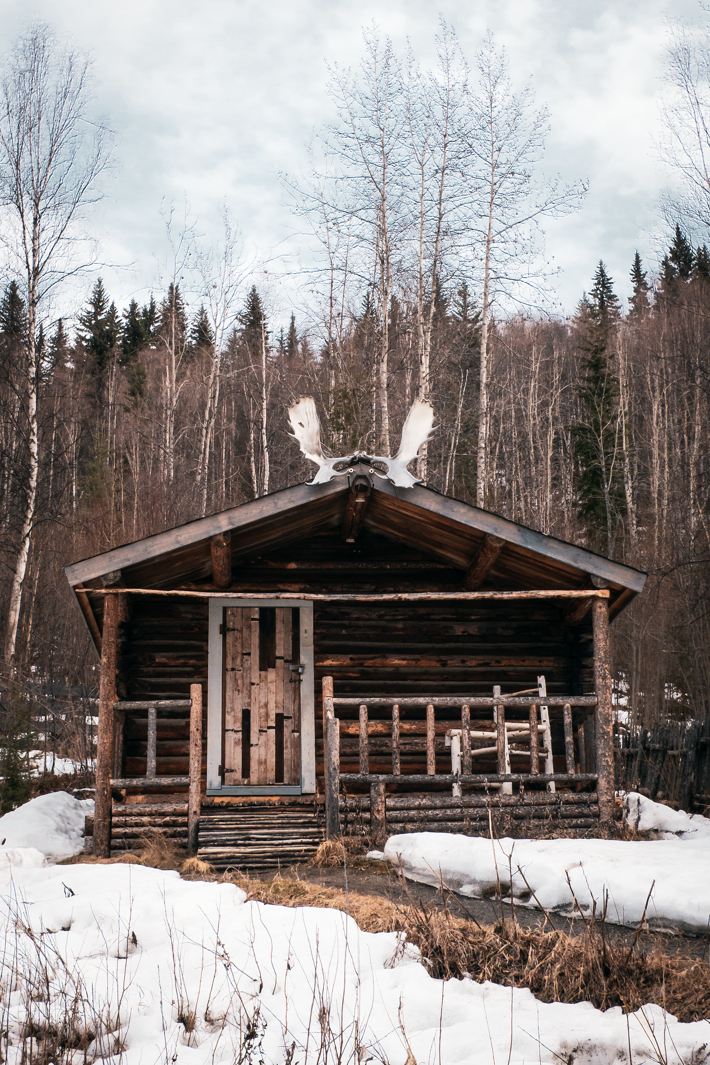 Immersion sur la terre du soleil de minuit : le Yukon, Canada