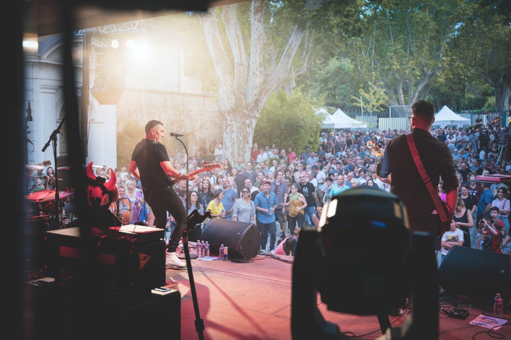 Fidèle à Calogero Tribute au festival Rhinoférock