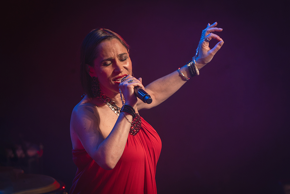 Pink Martini, groupe de Portland, célèbre ses 30 ans de carrière à Lons-le-Saunier